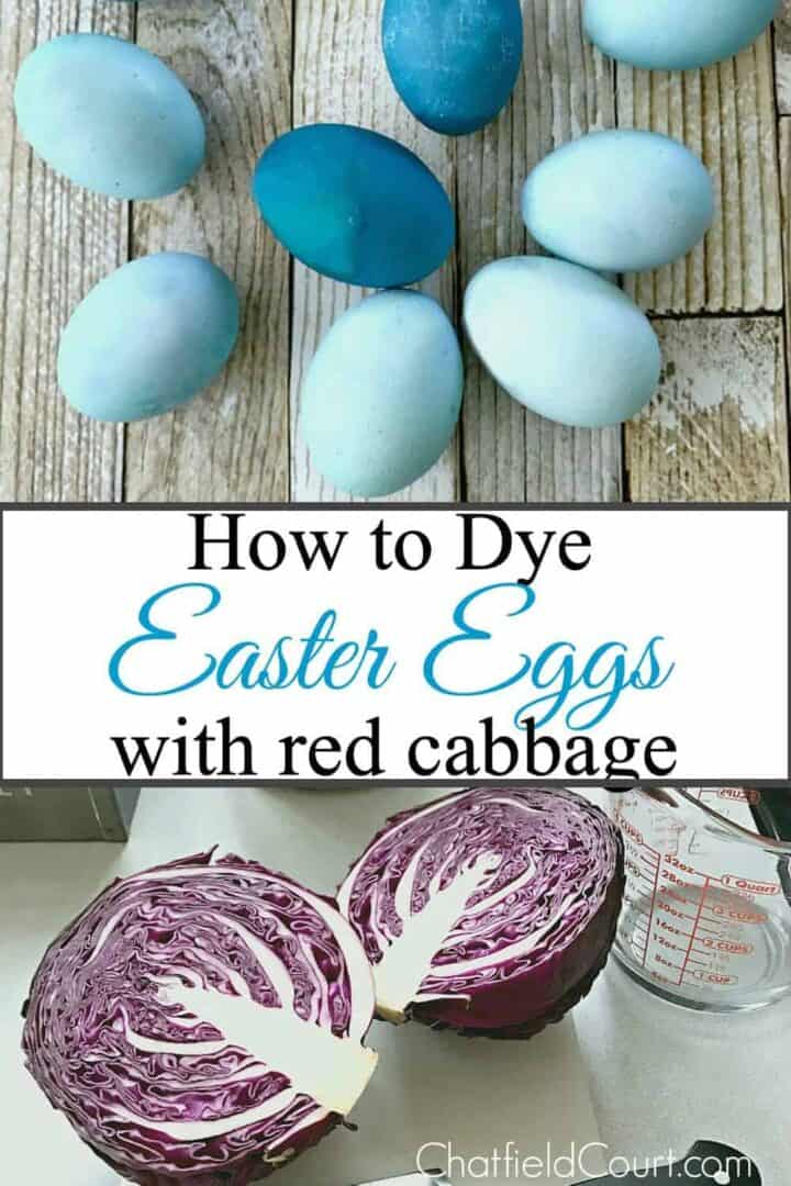 blue dyed easter eggs and red cabbage sliced in half