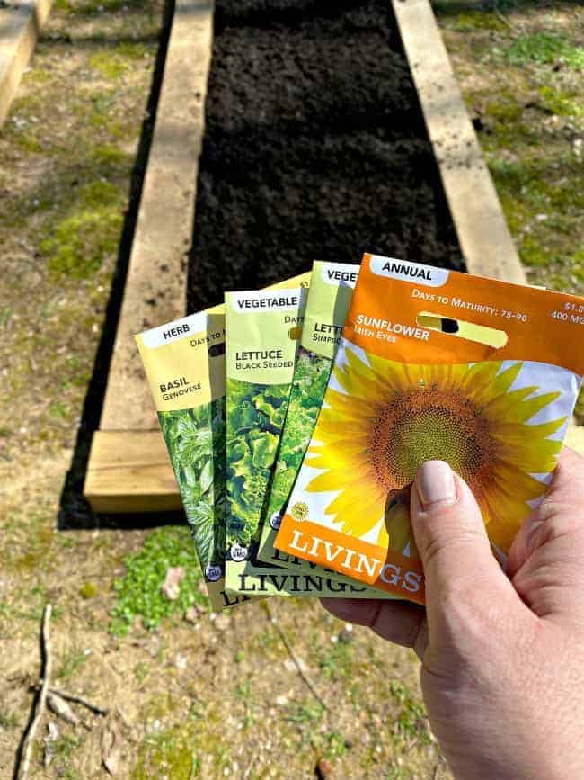 seed packets and garden