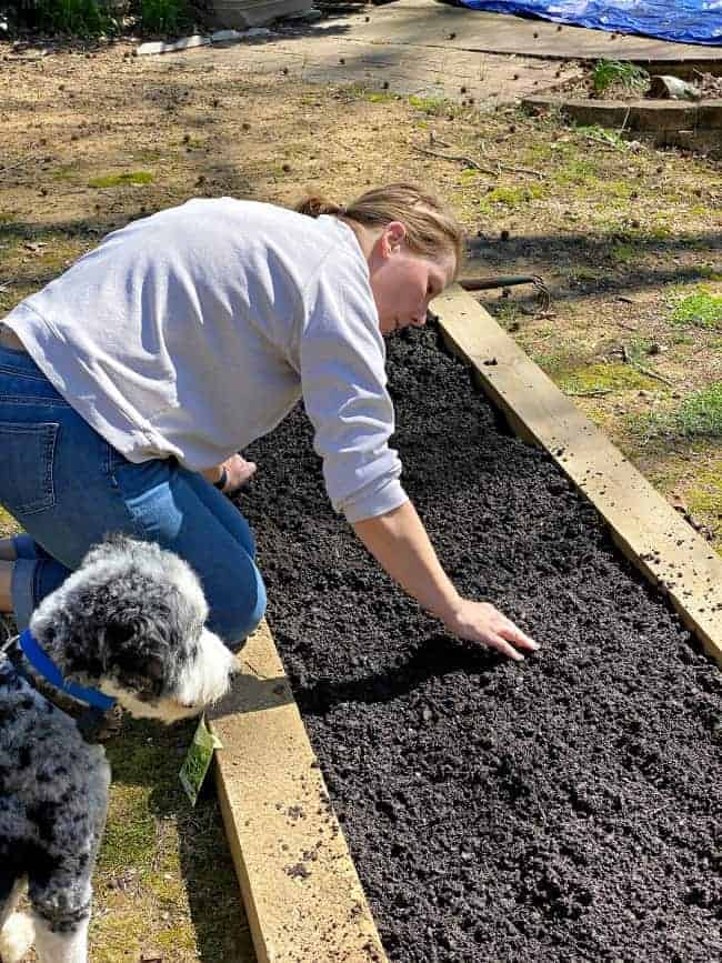 woman planting seeds in a raised planter bed with dog looking on