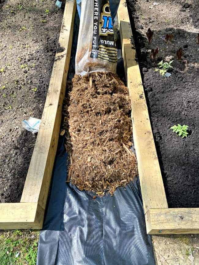 laying cypress mulch between two raised garden beds