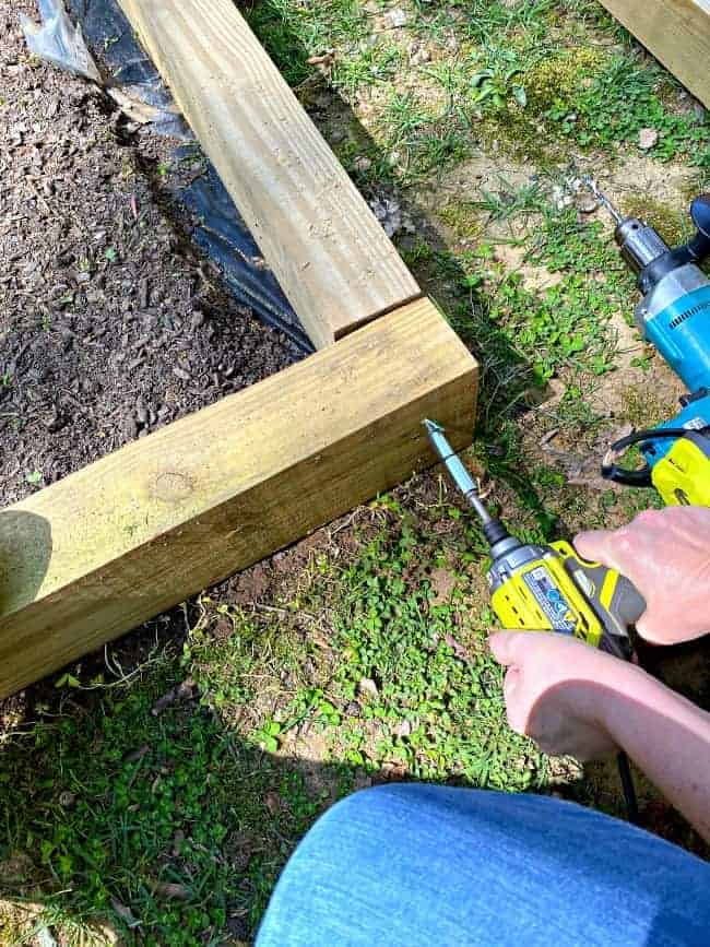 drilling screws into wood planks of raised planter bed