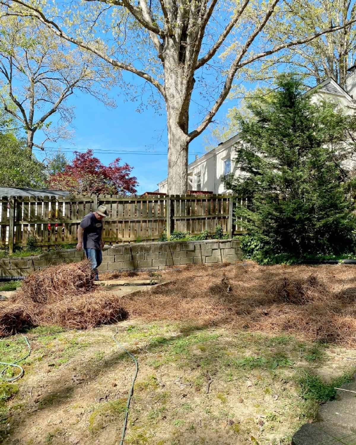 DIY Raised Garden Beds with Scrap Wood pine straw shot