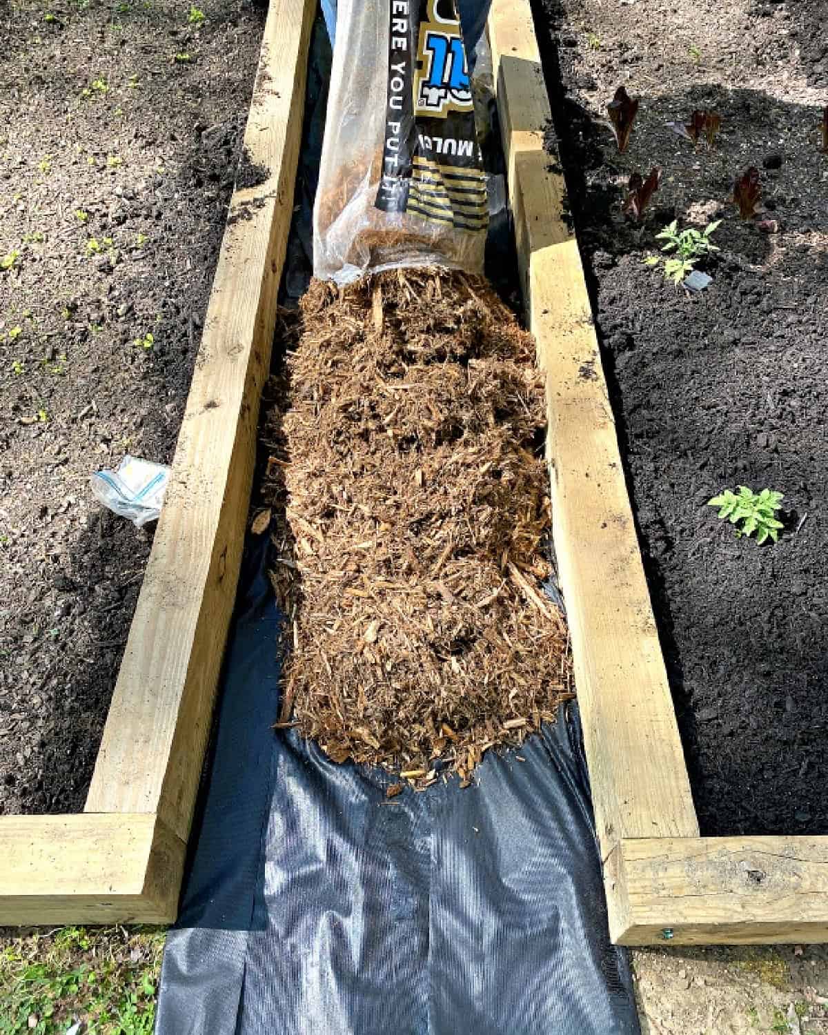 DIY Raised Garden Beds with Scrap Wood mulch image
