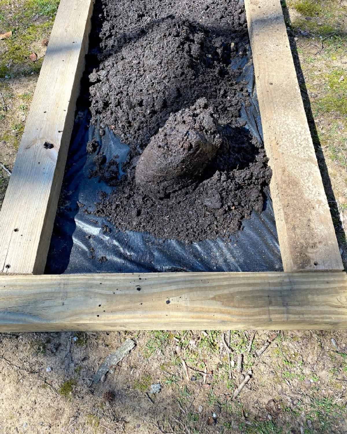 DIY Raised Garden Beds with Scrap Wood photo