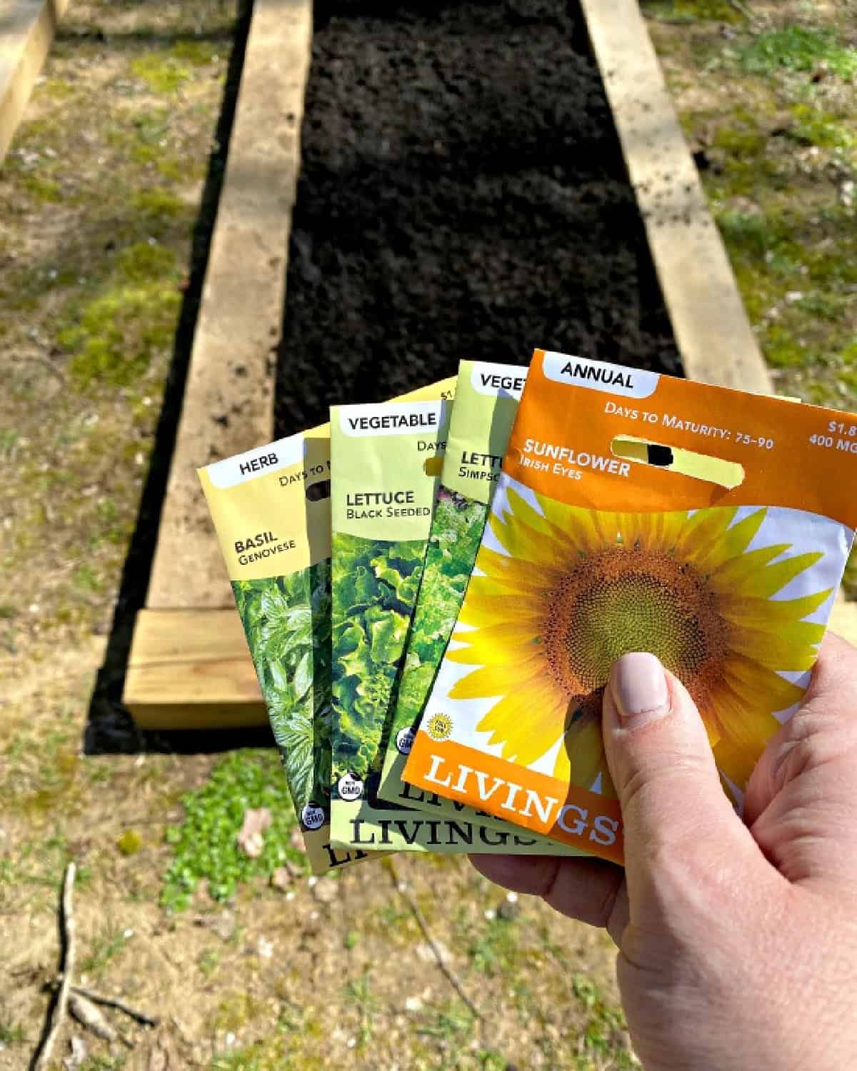 DIY Raised Garden Beds with Scrap Wood photograph