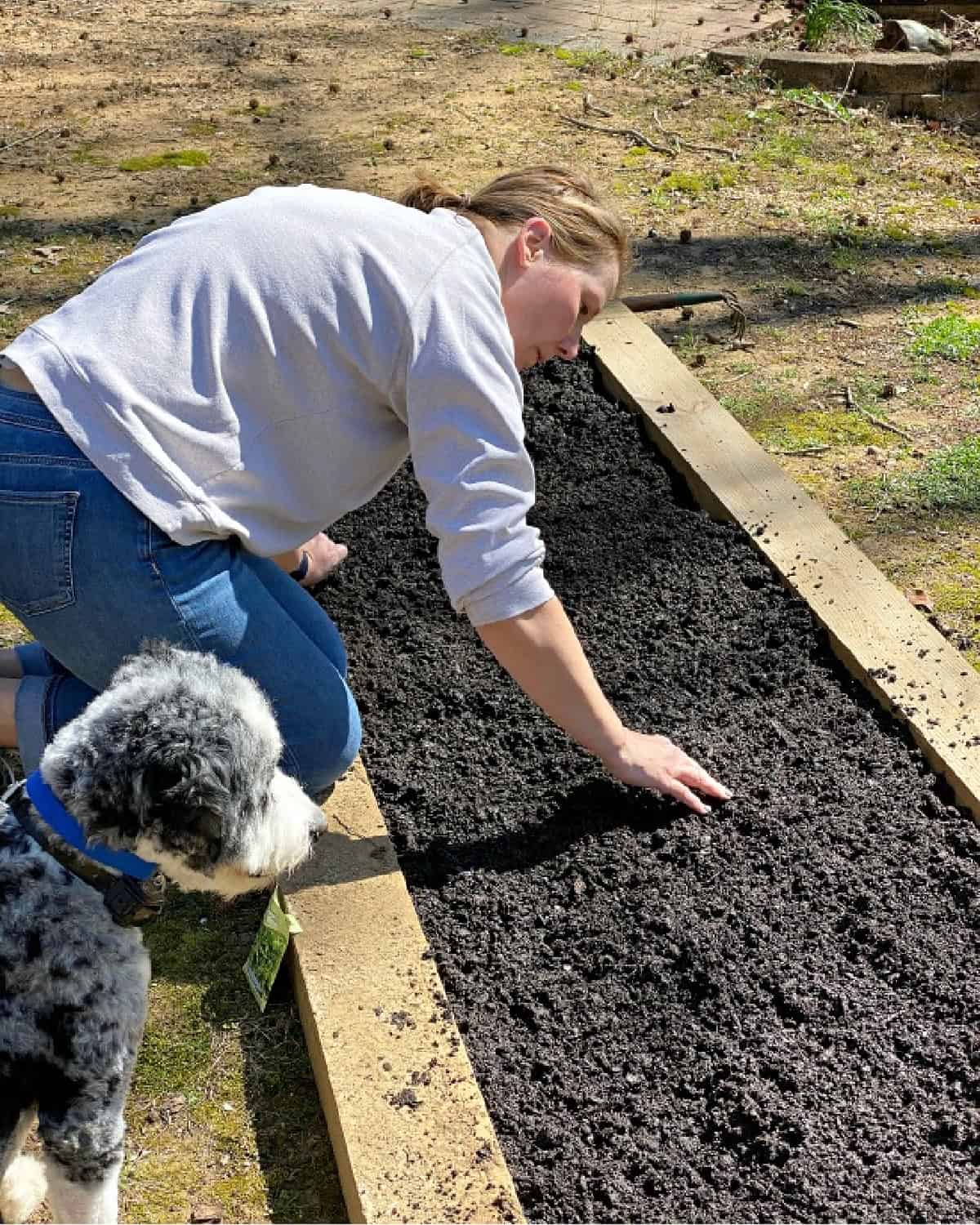 DIY Raised Garden Beds with Scrap Wood planting seeds picture