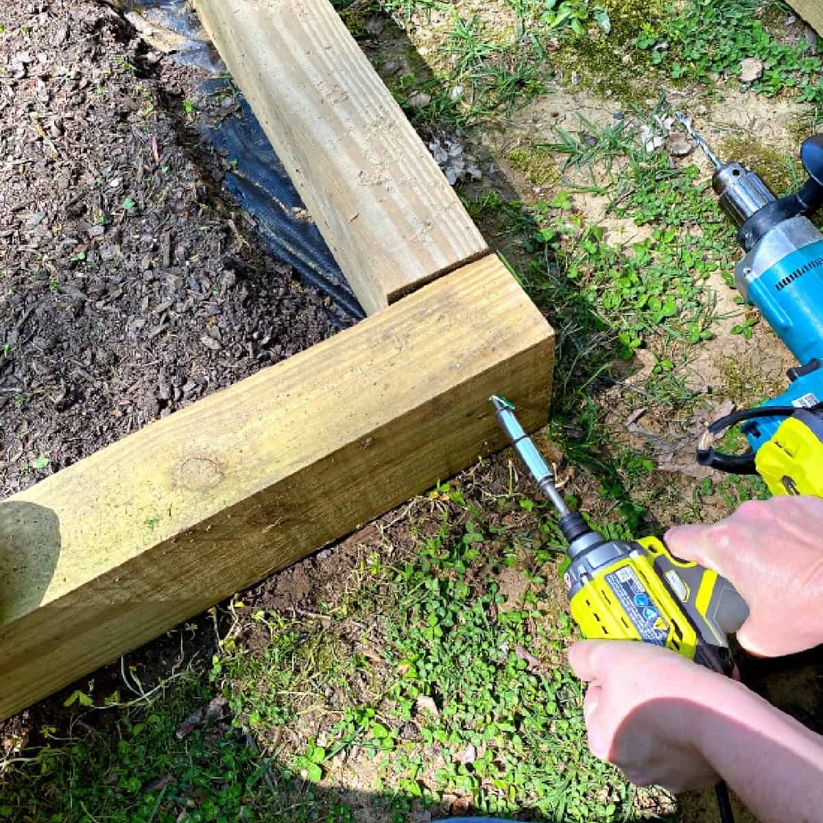 drilling screws into wood planks of raised planter bed