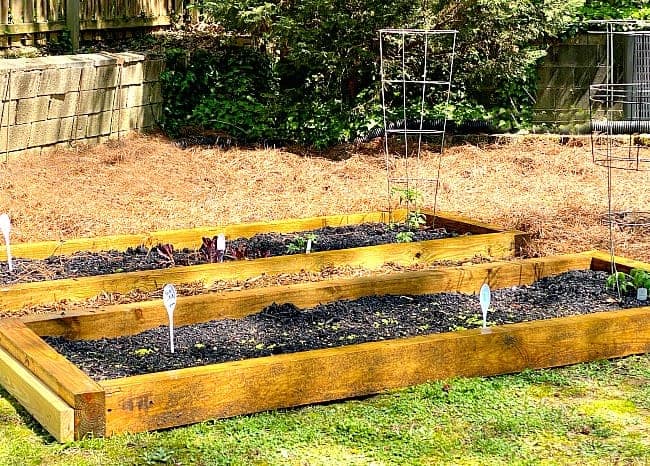 do it yourself raised planter beds with plants and DIY garden markers in them