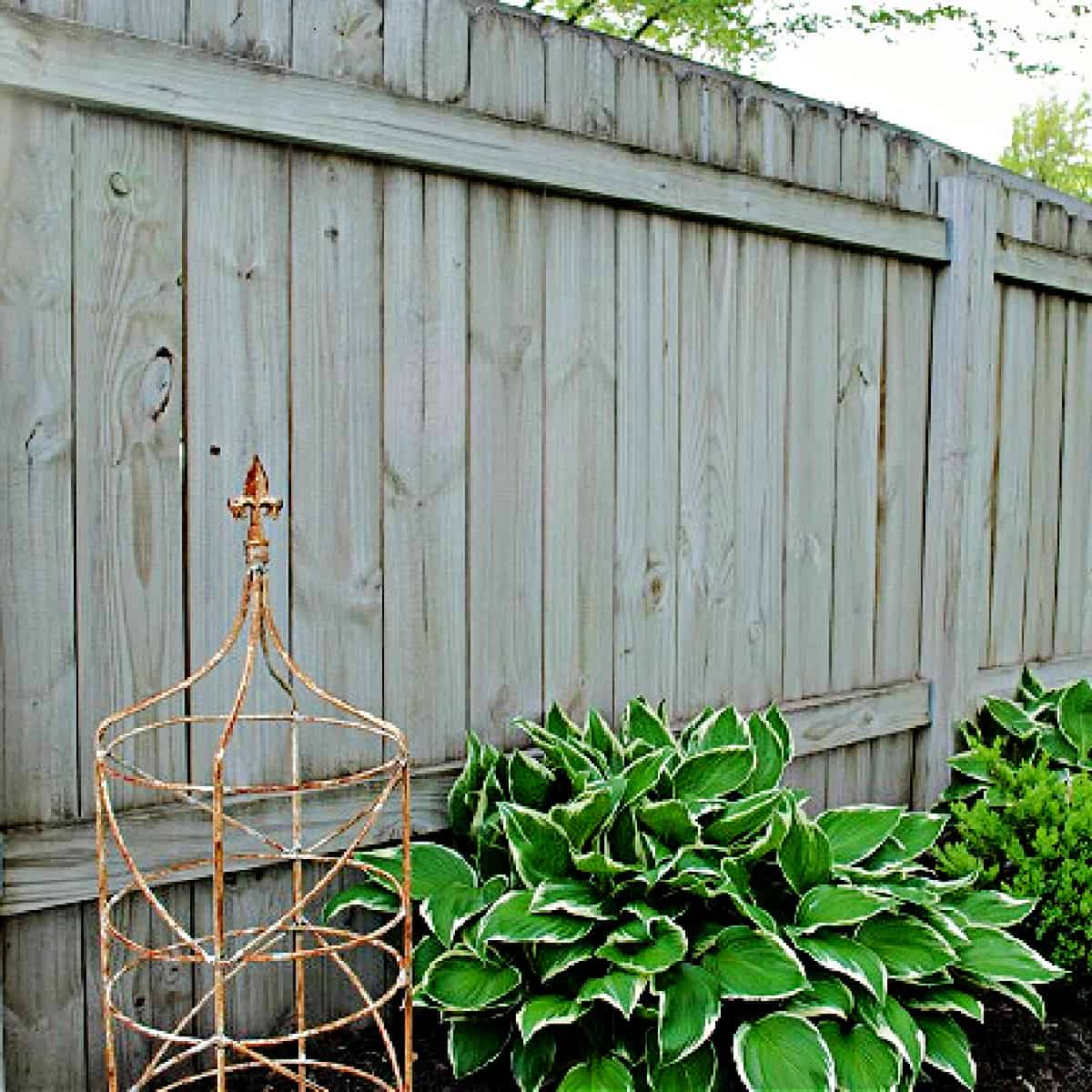 How to Clean a Wood Fence