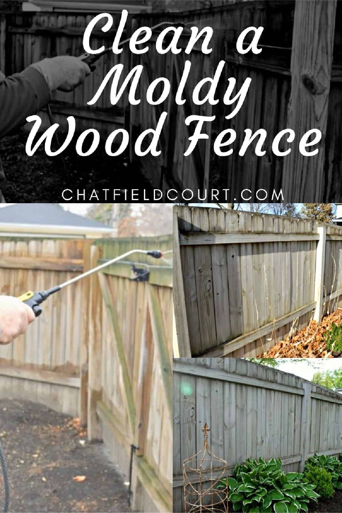 collage of moldy wood fence and cleaning fence, plus a large graphic