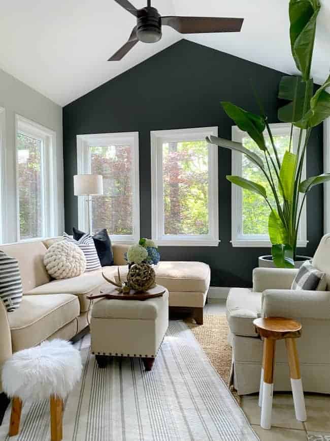 dark gray painted accent wall in a small sunroom with a large green plant in the corner