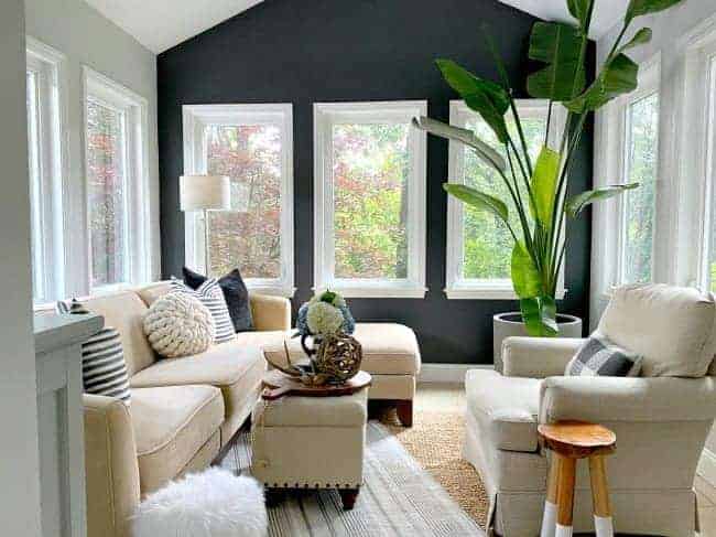 dark gray accent wall in a small sunroom with a big green plant in the corner