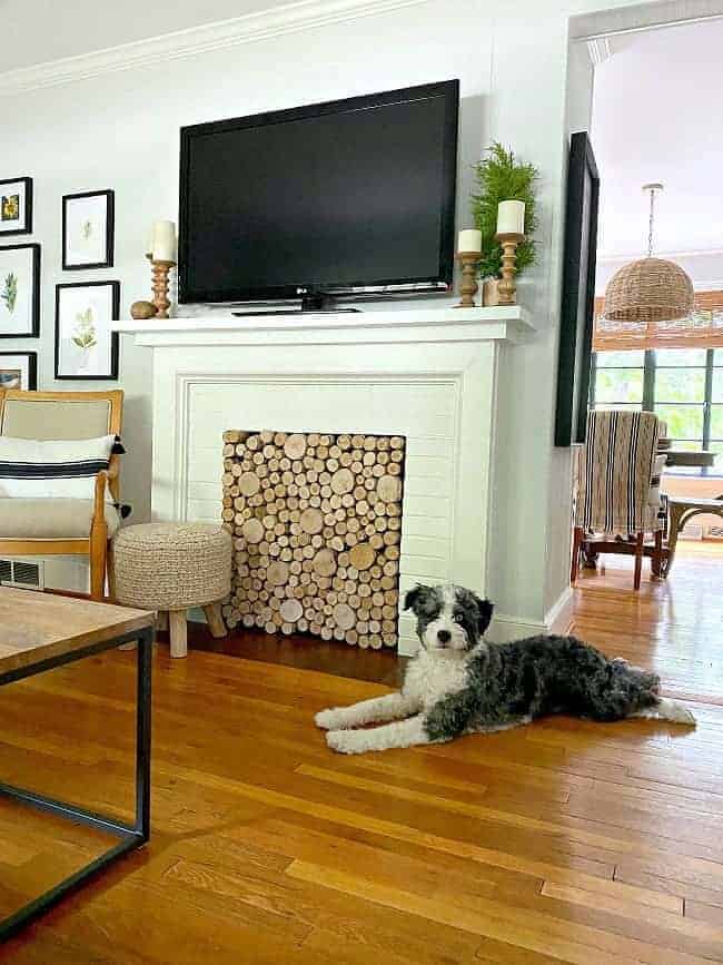 DIY fireplace screen in fireplace with tv on mantel