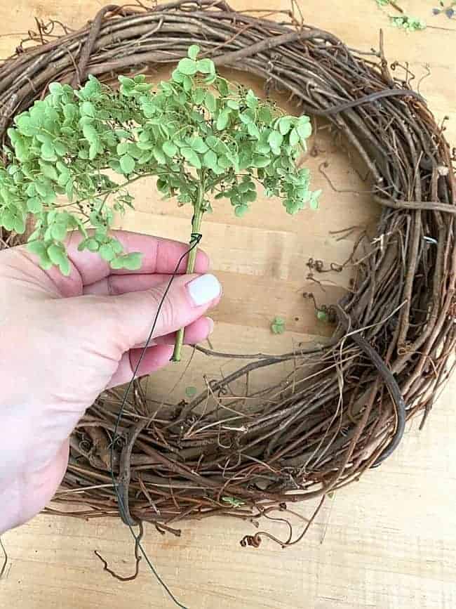 dried hydrangea flower tied with floral wire