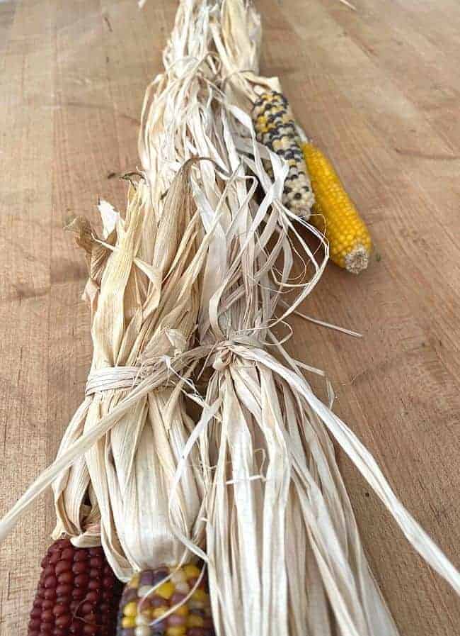 tying corn cob bunch to raffia