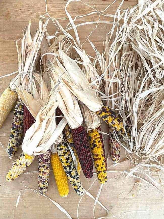mini Indian corn cobs and a bunch of raffia