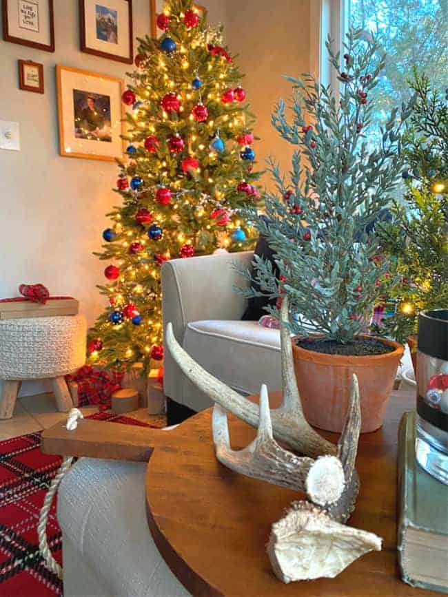 view of Christmas tree in the corner of a sunroom decorated in red