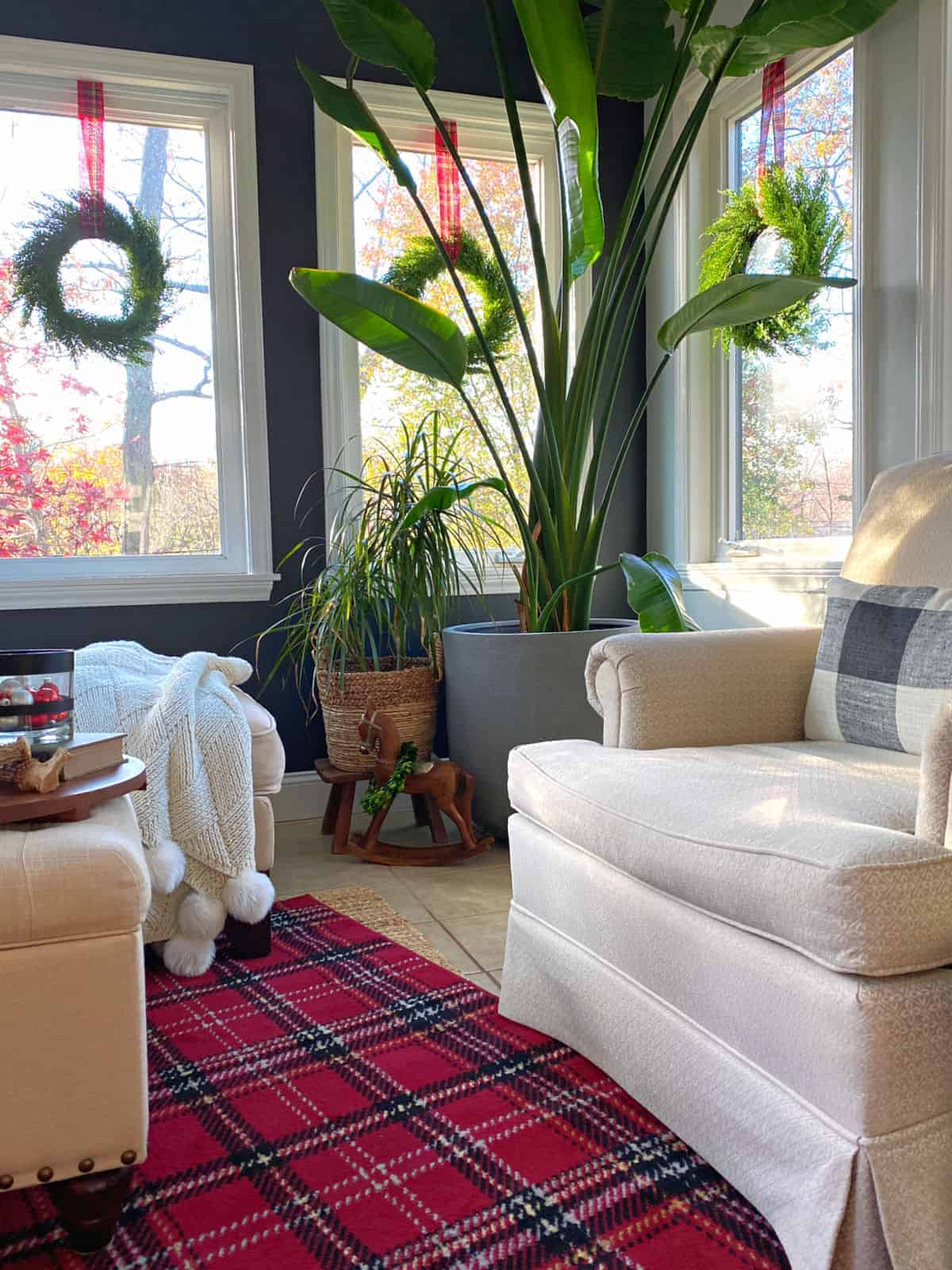 plants in the corner of a sunroom with wreaths on the windows