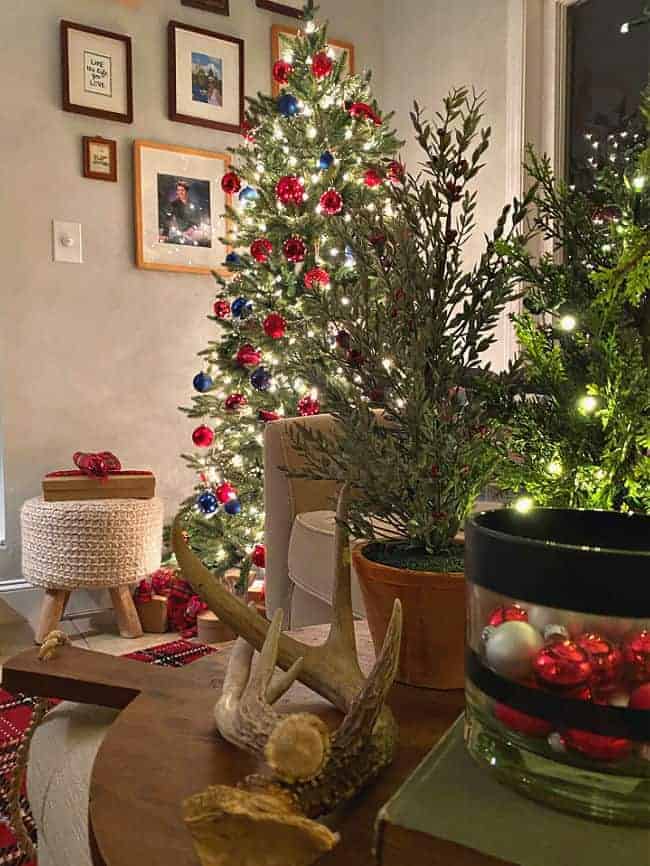 night view of Christmas tree in the corner of a sunroom decorated in red