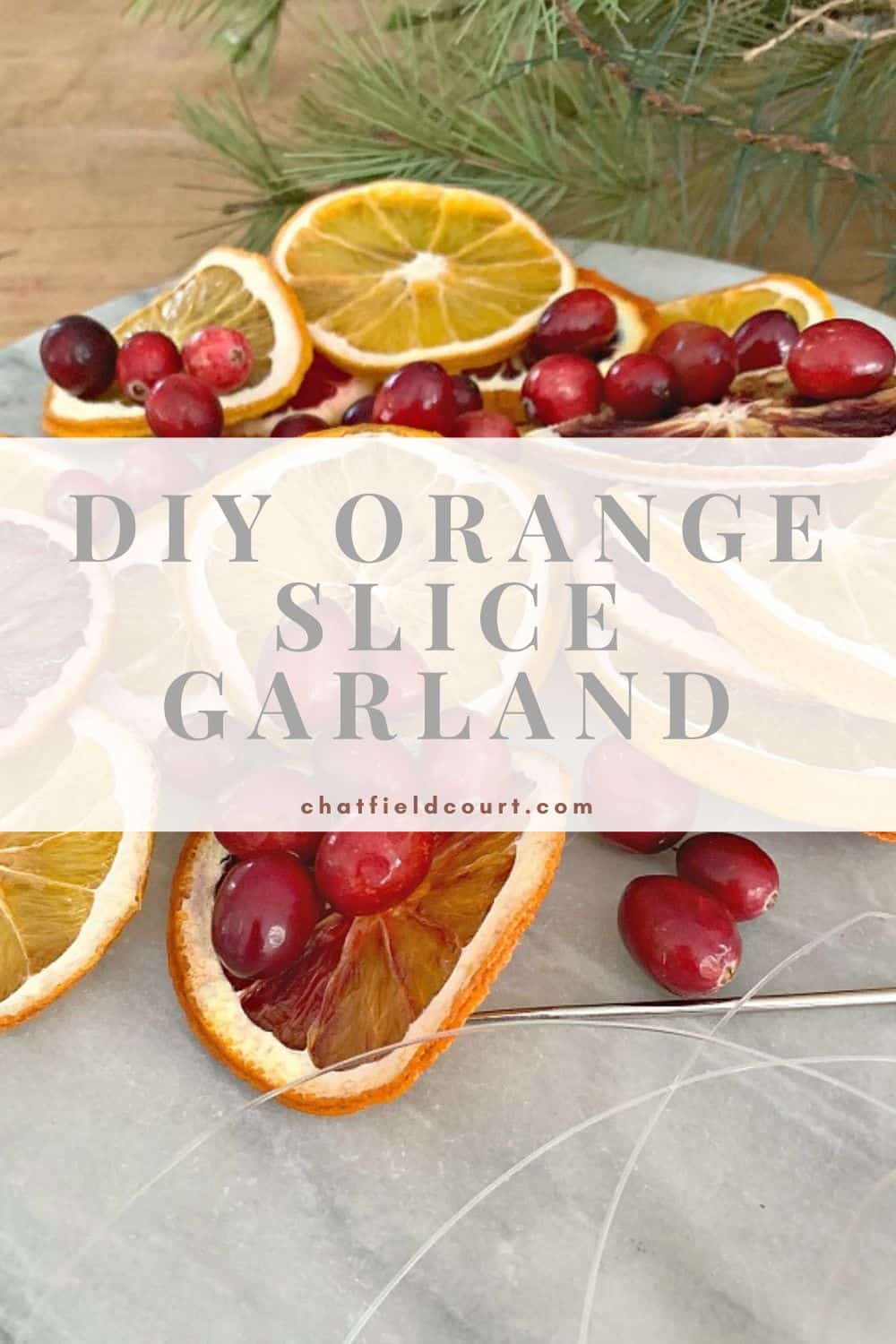 dried orange slices and cranberries plus a large graphic