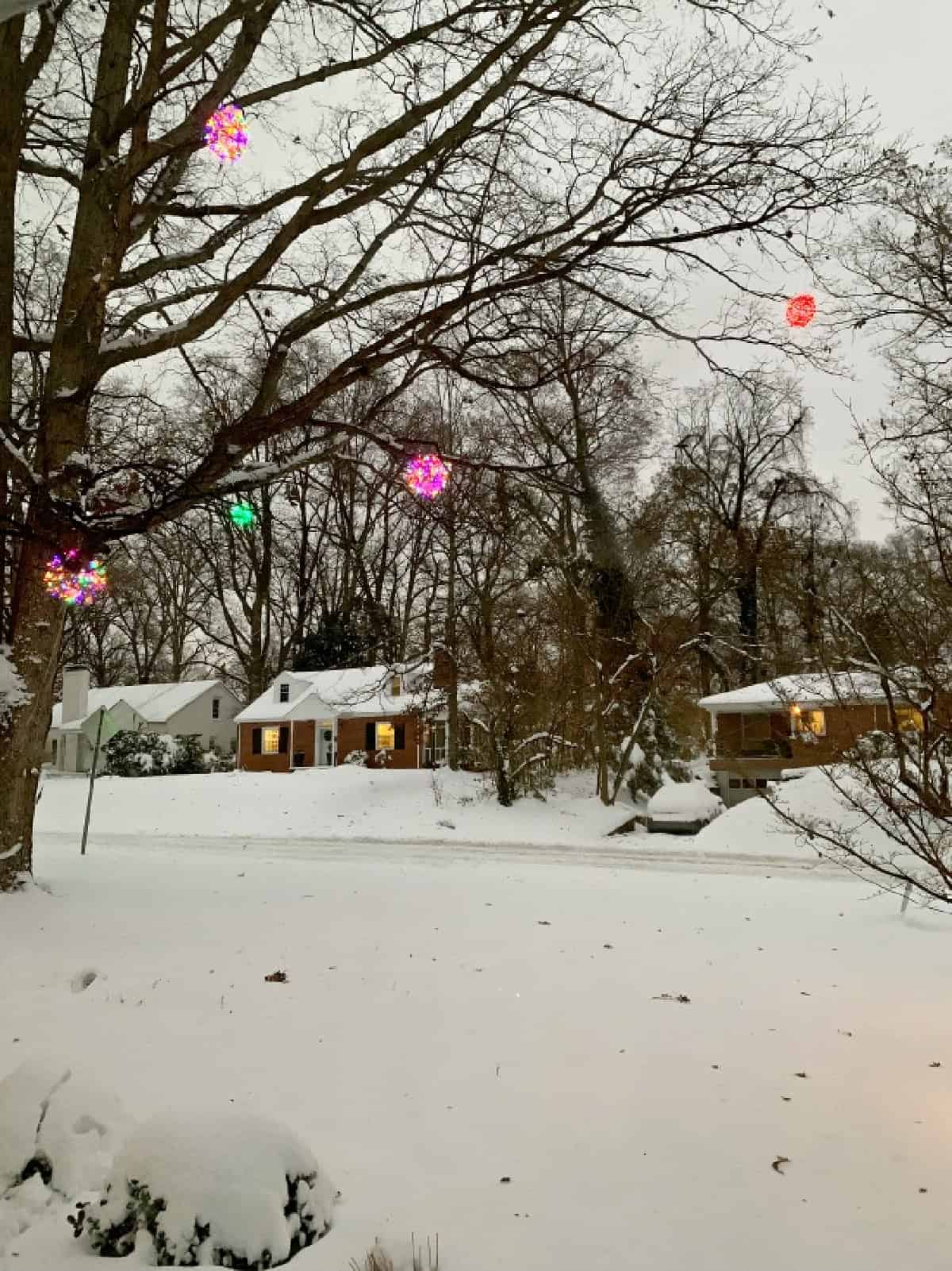 How to Make Lighted Christmas Balls (And How to Hang Them) finished image lighted Christmas balls hanging in oak tree with snow on the ground