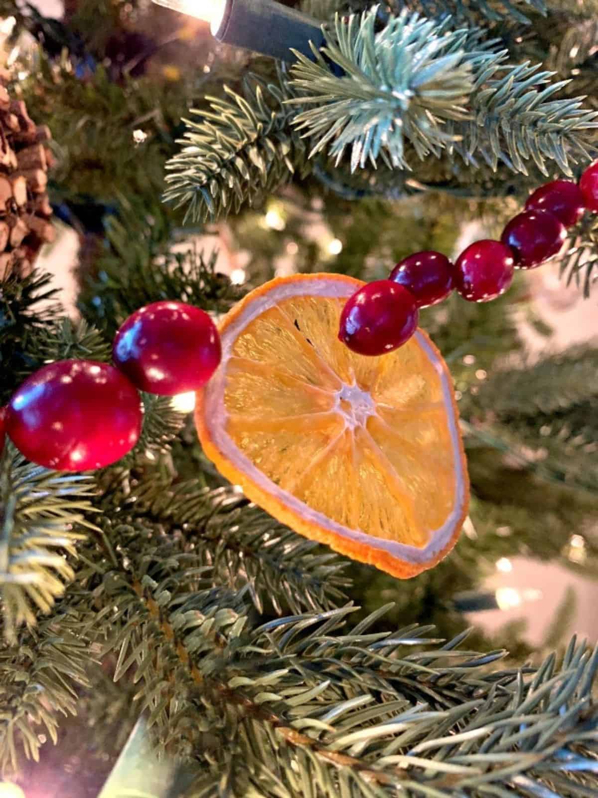 orange slice and cranberry garland on tree