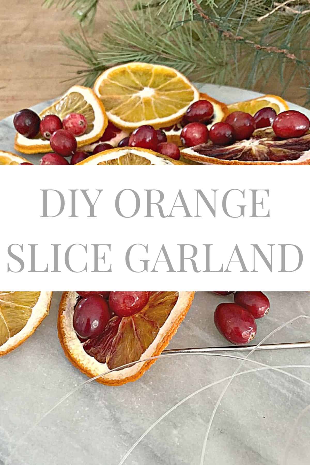 dried orange slices for DIY range slice garland and large graphic