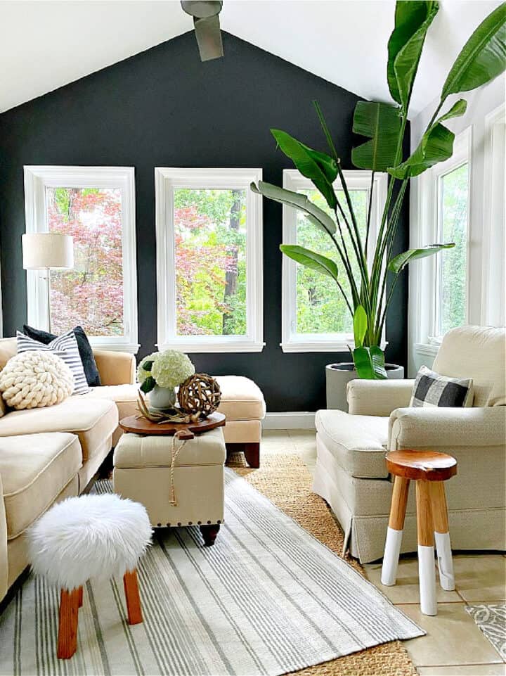 dark gray accent wall in a small sunroom with a big green plant in the corner