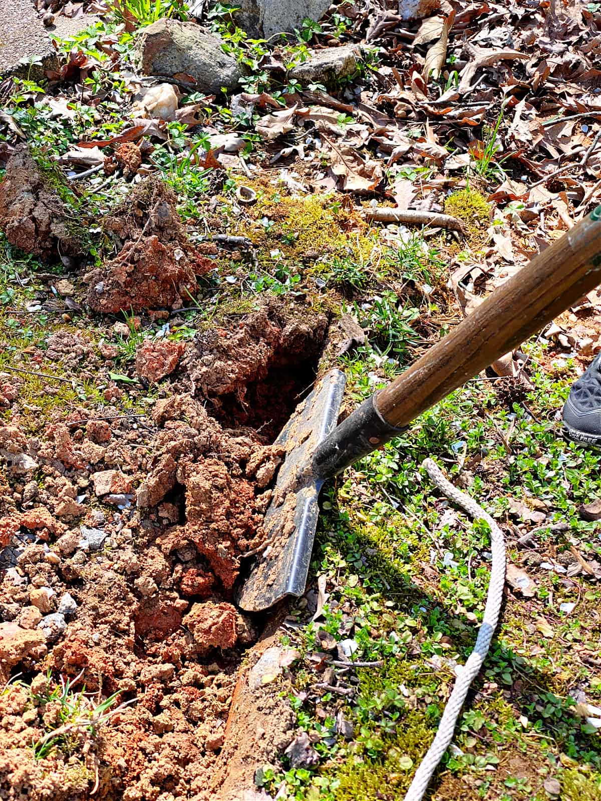 using an edging tool to dig a border