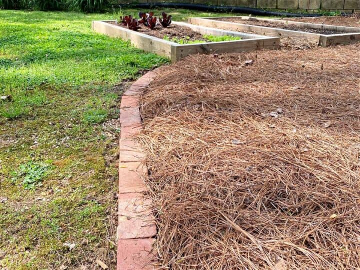 How To Lay Brick Garden Edging Field Court How To Lay Brick Garden Edging, How To Garden Edging Bricks