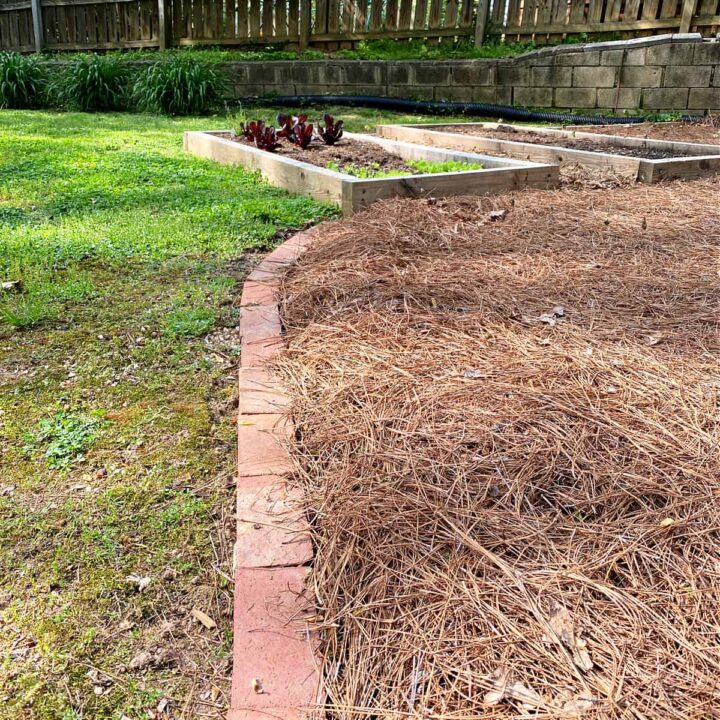 Brick landscape clearance edging
