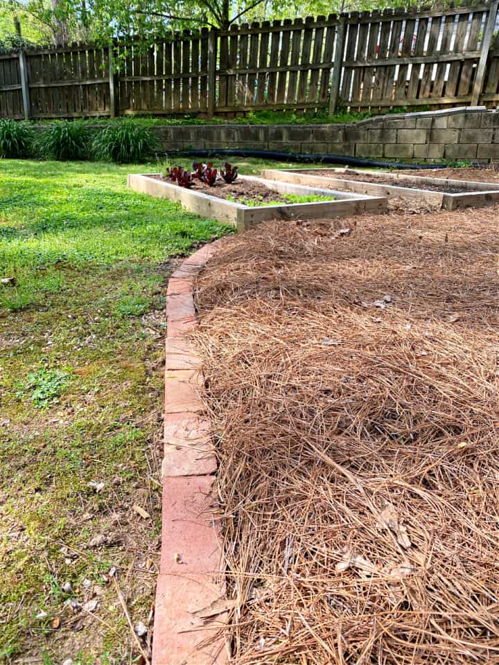 Laying Brick Edging In Your Garden, How To Build A Garden Border With Pavers