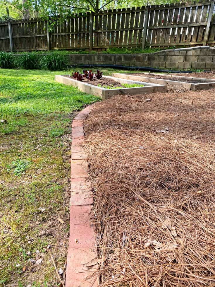 brick garden edging