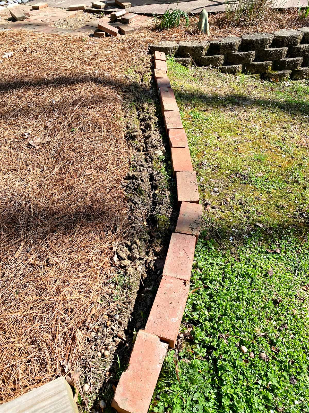 brick lined along a garden