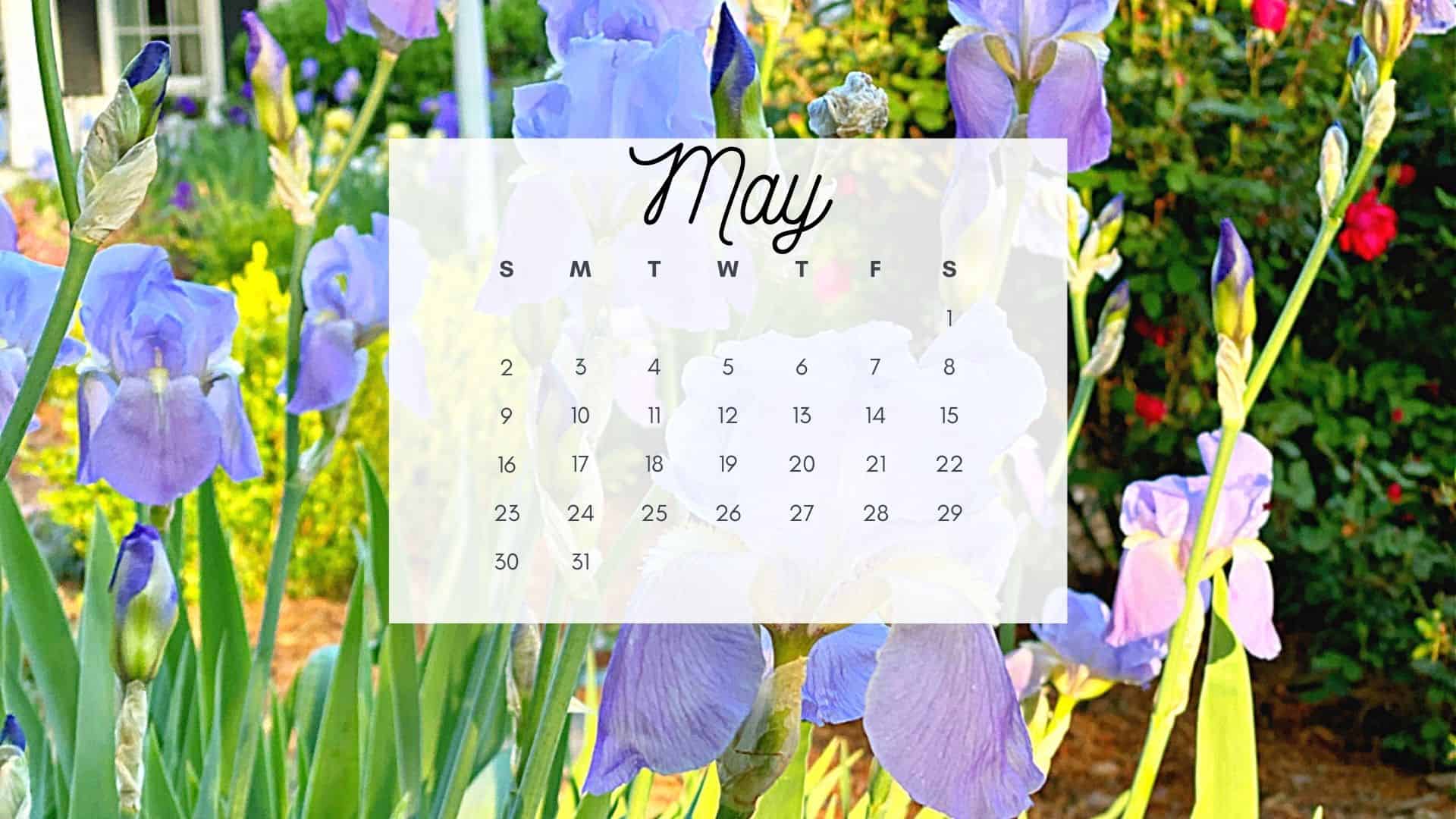May 2021 Calendar Wallpaper - Chatfield Court