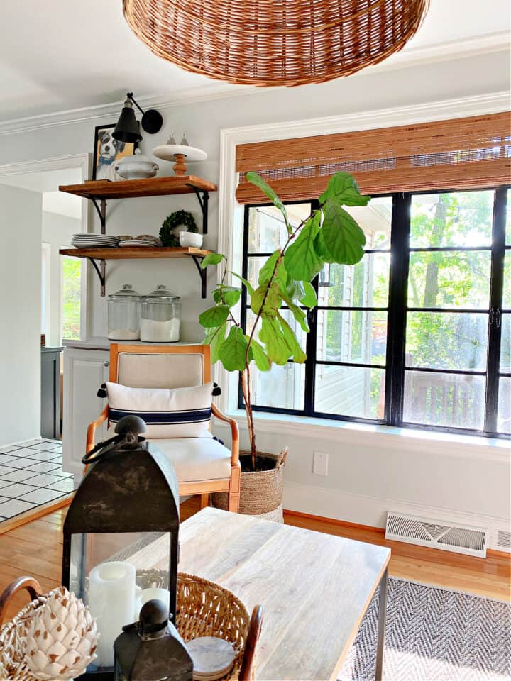 view out living room window with fiddle leaf fig in corner