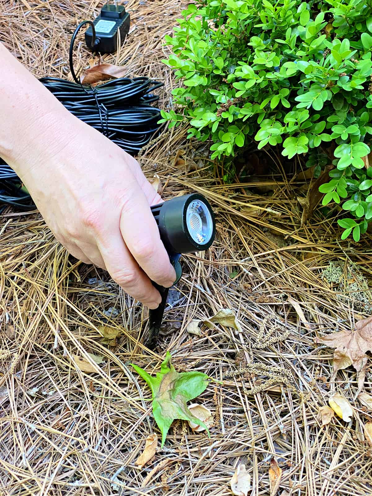 putting landscape light in ground