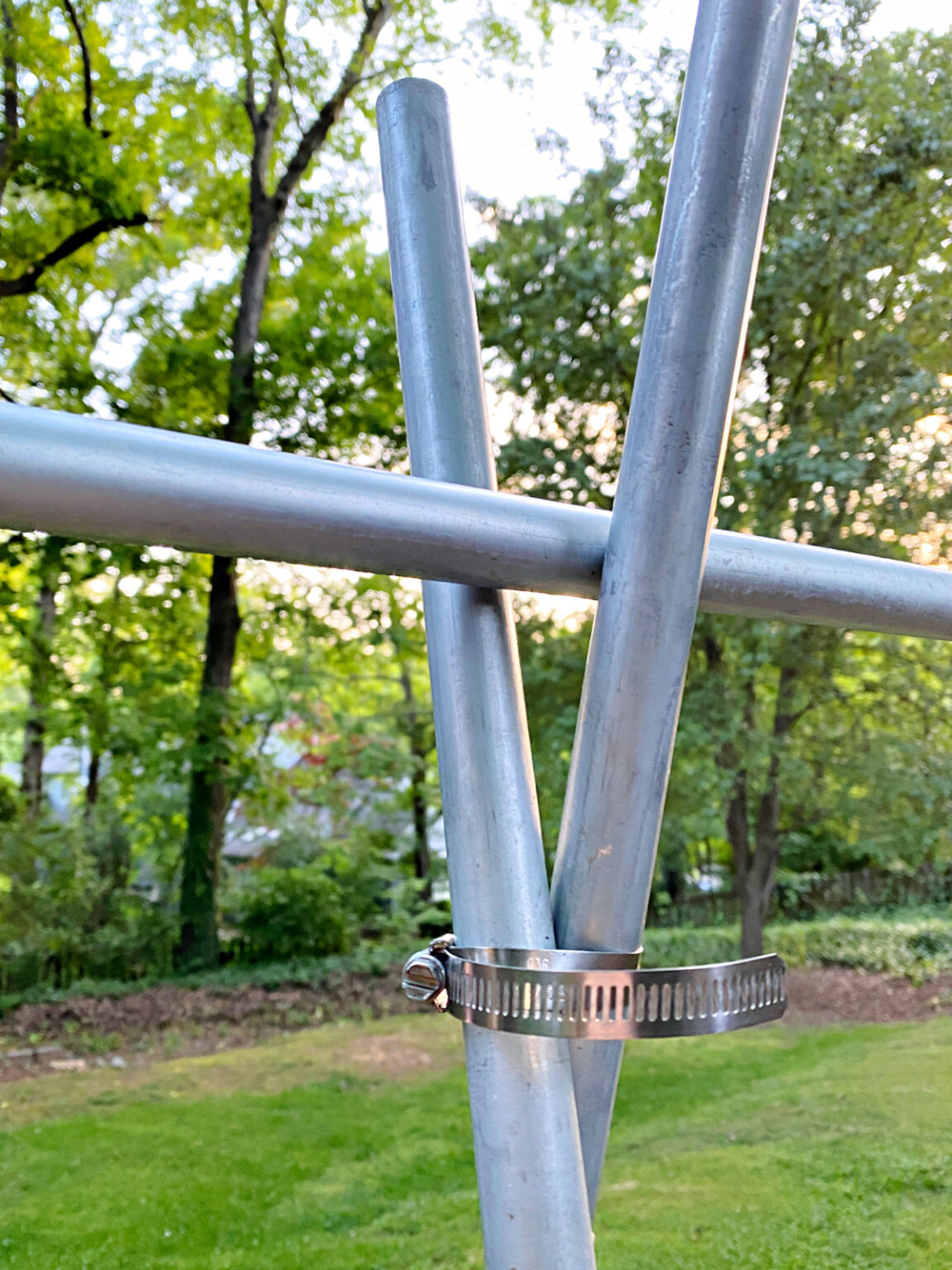 DIY Tomato Trellis with Conduit · Chatfield Court