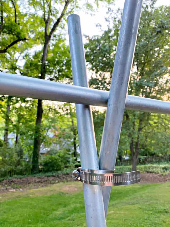 DIY Tomato Trellis with Conduit · Chatfield Court