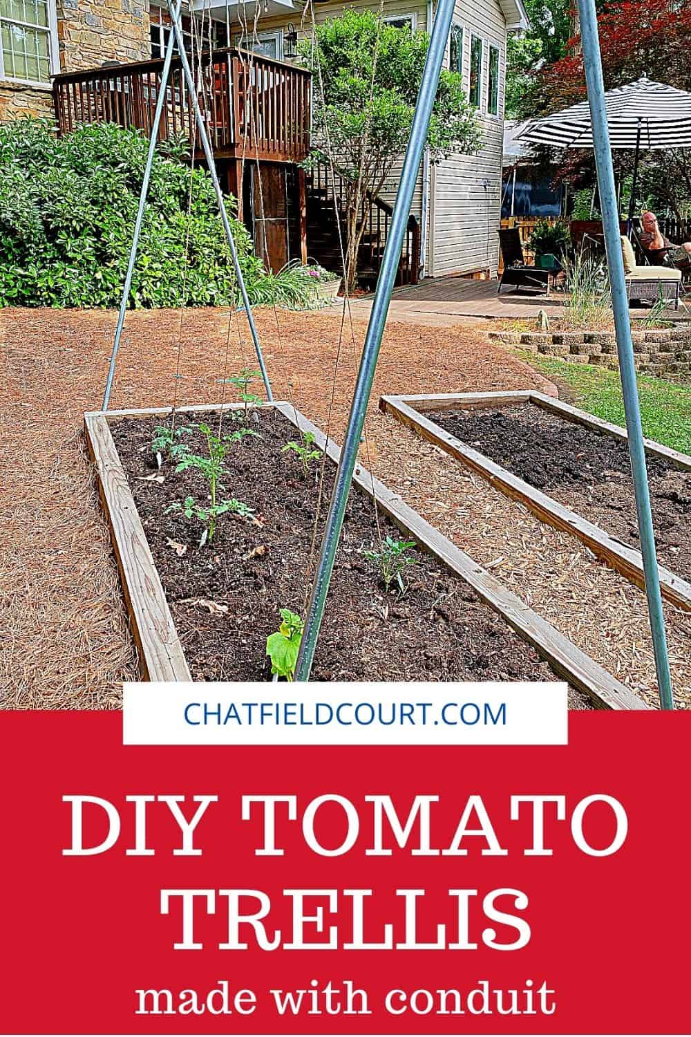 pinterest oin with DIY tomato trellis in backyard garden