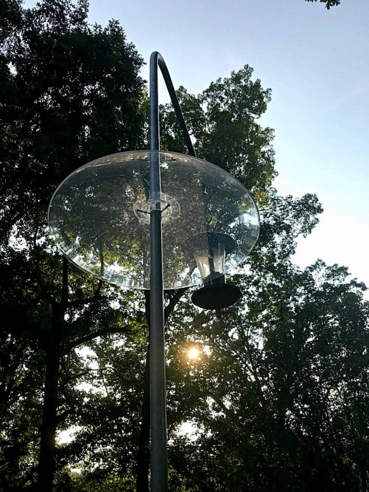 clear squirrel baffle on bird feeder pole