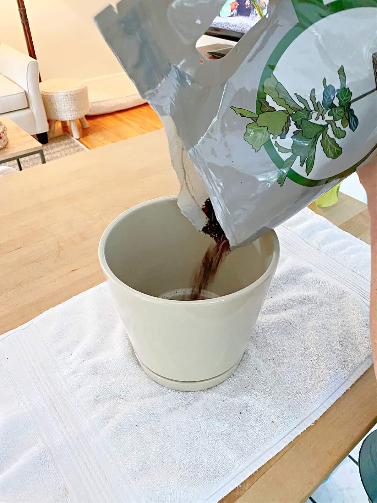 pouring potting soil in pot