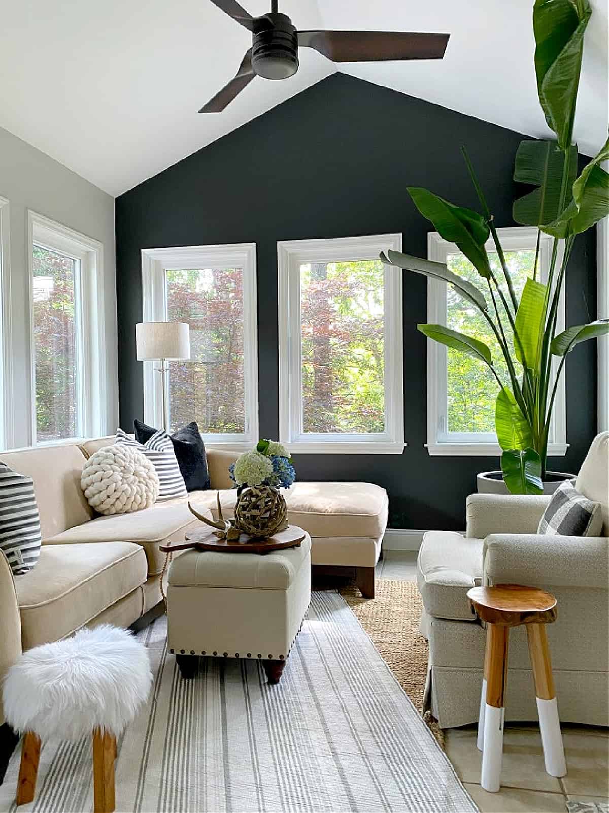 sunroom with dark accent wall