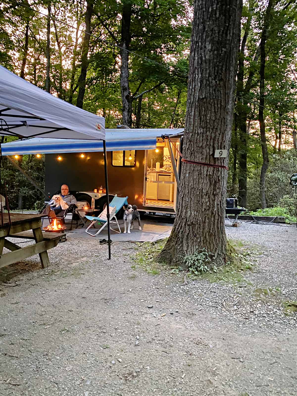 cargo trailer conversion in campsite