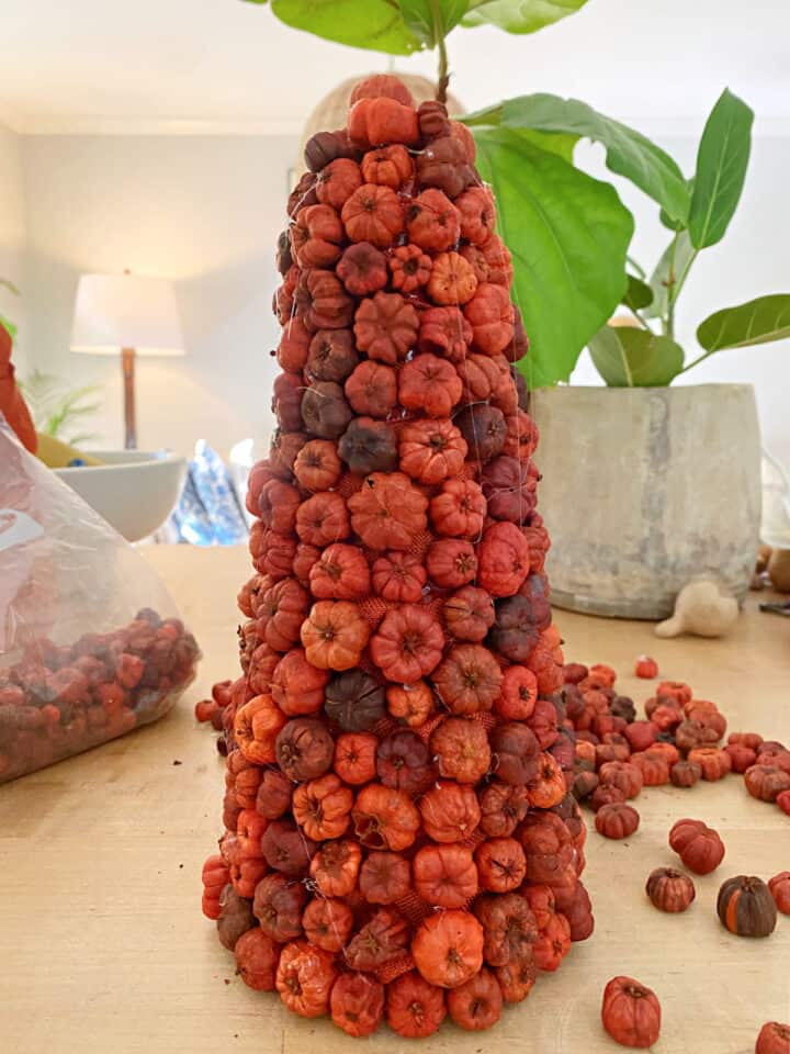 Easy Fall Craft Using Putka Pods · Chatfield Court