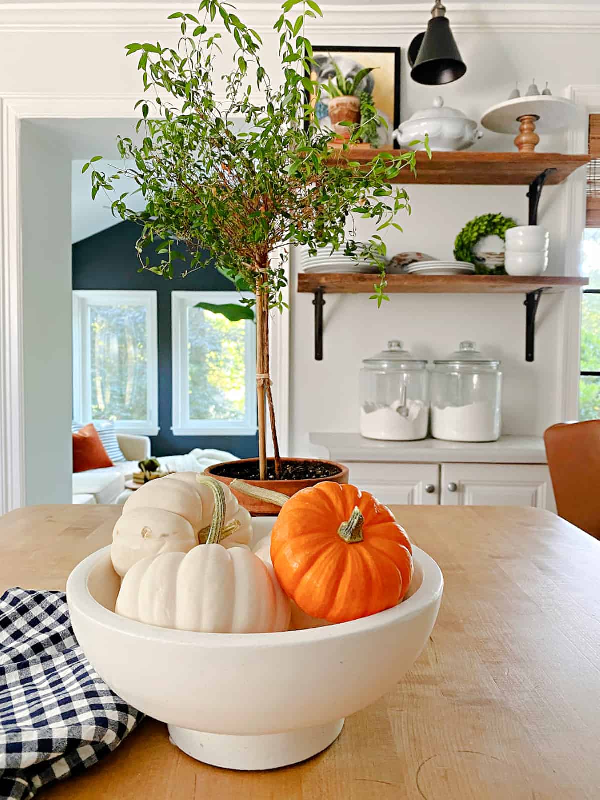 bowl of small pumpkins