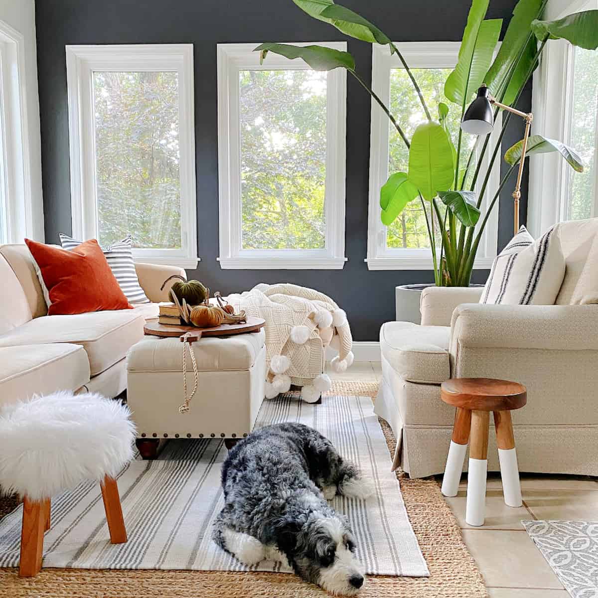 sunroom decorated for fall