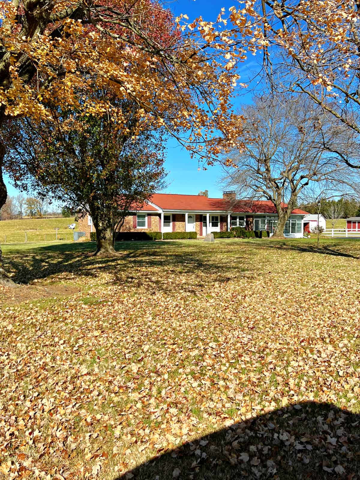 front yard view of brick ranch house