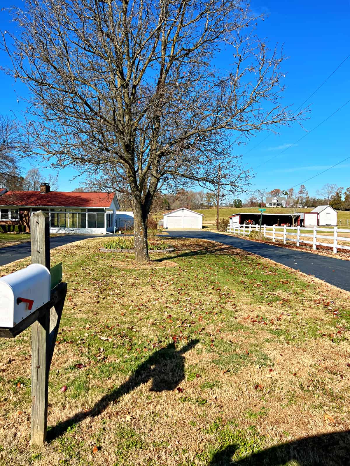 mailbox in front yard and driveway to house