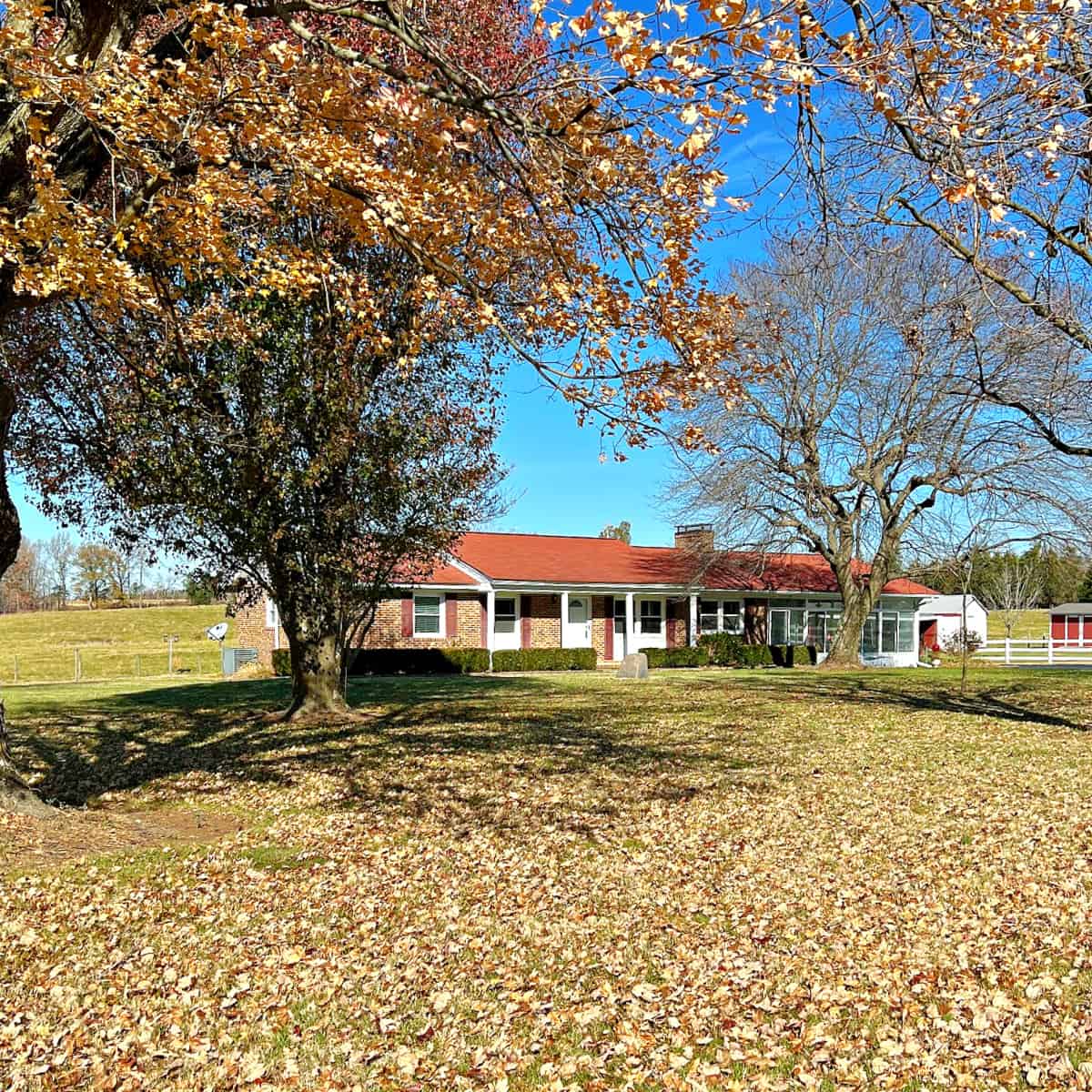 Chocolate Creek Cottage